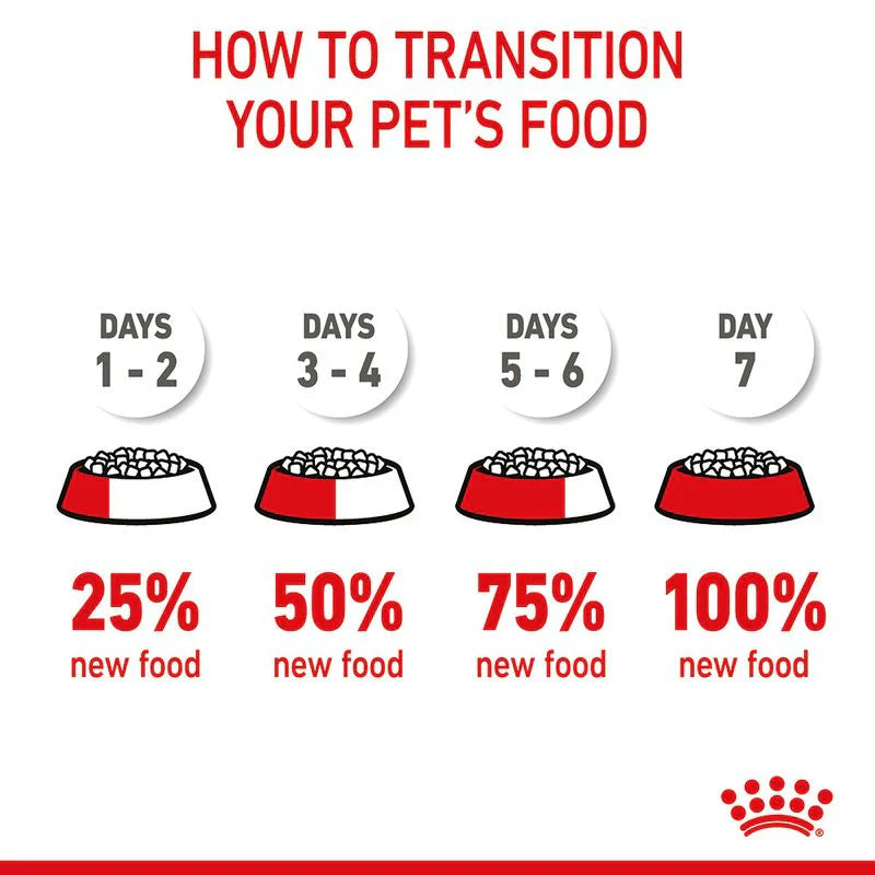 Royal Canin Mother & Baby Cat Dry Food – Essential Nutrition for Pregnant Cats & Kittens