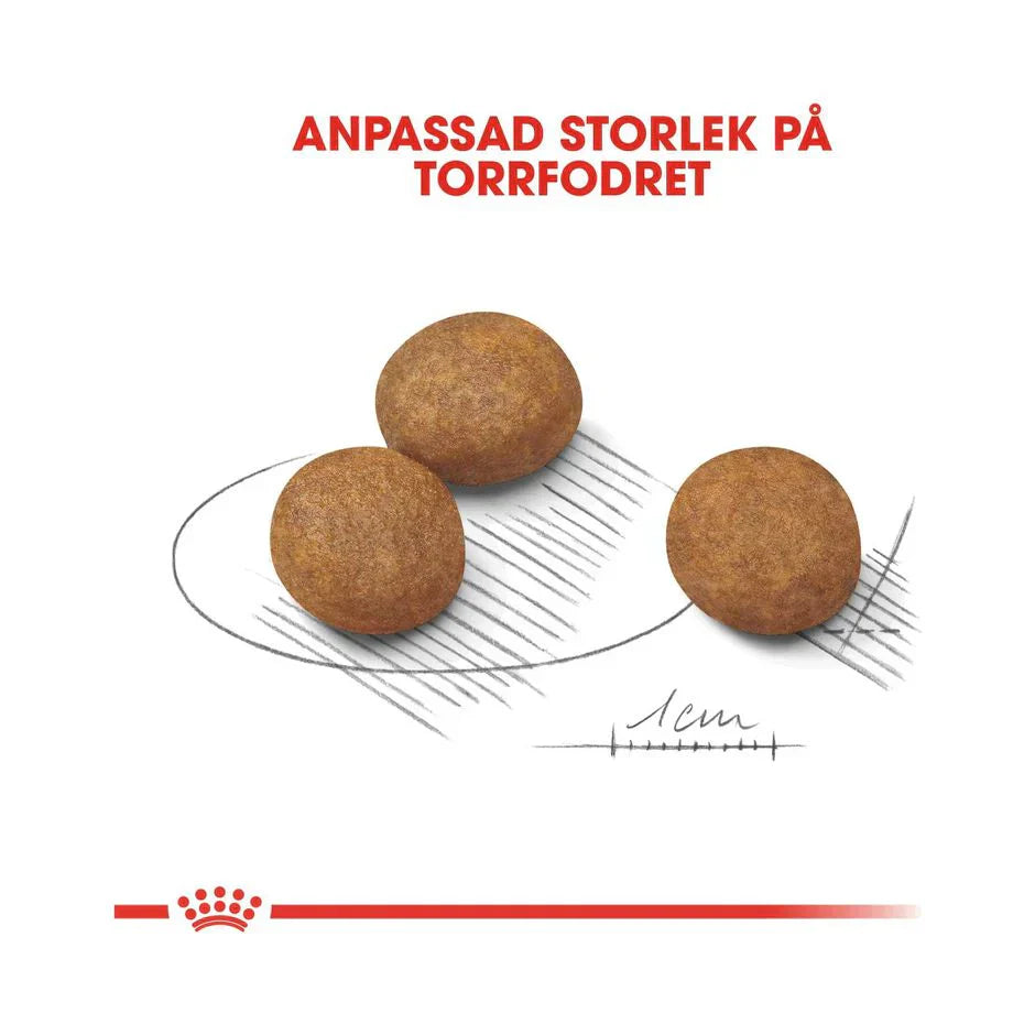 Royal Canin Maxi Puppy - Tailored Nutrition for Large Breed Puppy Growth & Development