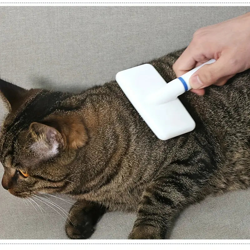 Keep your pet’s fur clean and tangle-free with the Plastic White Grooming Brush for Cats &amp; Dogs. Designed for gentle yet effective grooming, this brush removes loose hair, dirt, and dander while providing a soothing massage. Perfect for all coat types, ensuring a healthy and shiny coat. Shop now at PetsGrocery.pk!