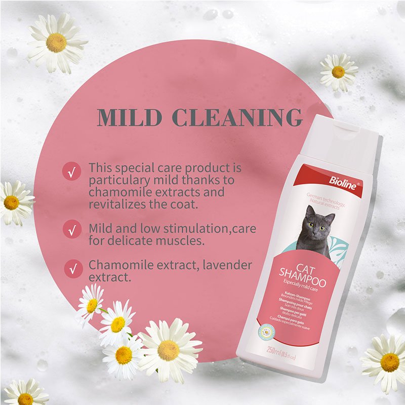 Cat Shampoo