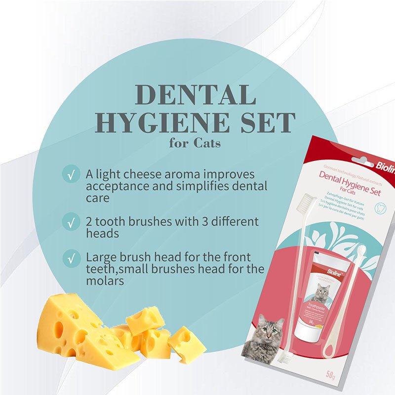 Dental Hygiene Set for Cats

A light cheese aroma improves acceptance and simplifies dental care.

2 tooth brushes with 3 different heads:

large brush head for the front teeth small brushes head for the molars.

Specification：50g