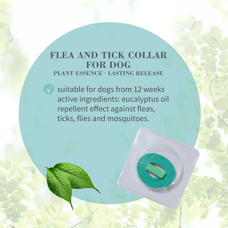 Flea and Tick Collar – Dog