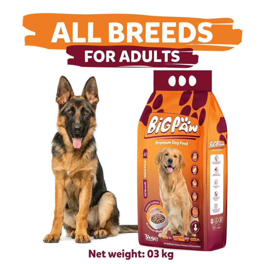 "Discover Big Paw Dog Food, offering premium nutrition tailored to meet the needs of large breed dogs. Specially formulated to support joint health, muscle maintenance, and overall vitality. Shop now!"