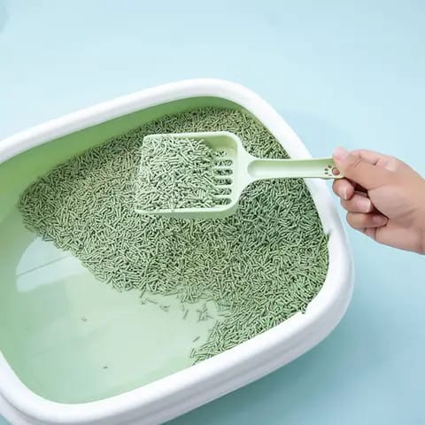 &nbsp;discover the Cat Litter Tray with Lid &amp; Scoop (China). Our Cat Litter Tray with Lid &amp; Scoop is a practical and affordable solution for cat owners in China. Made from durable plastic, this litter tray features a tight-fitting lid to minimize odors and messes, while the included scoop makes cleaning easy. Perfect for busy pet owners, this litter tray is designed for convenience and hygiene.